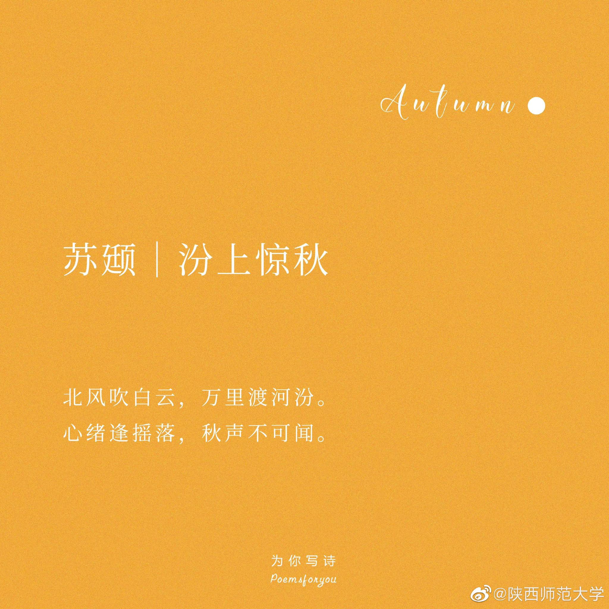 垂緌饮清露,流响出疏桐……__财经头条