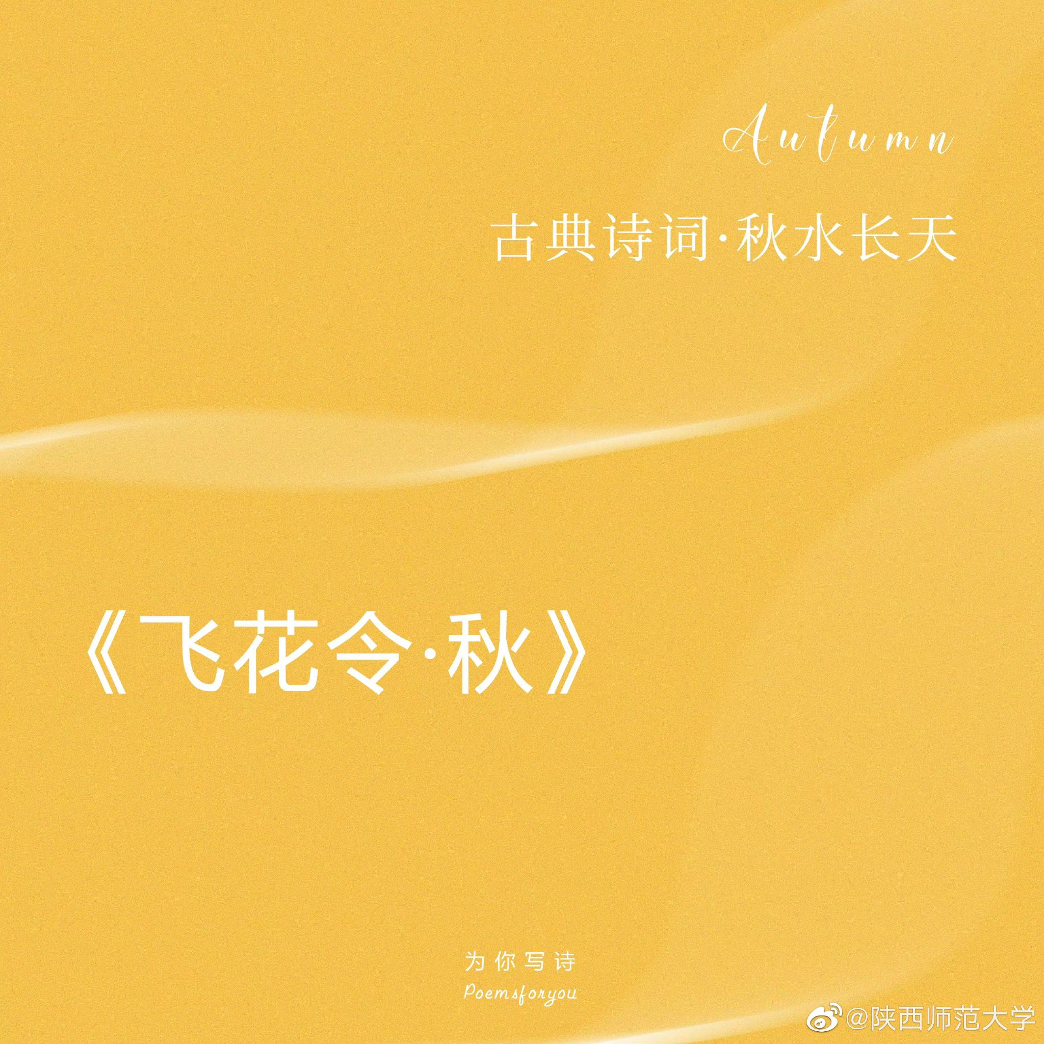 垂緌饮清露,流响出疏桐……__财经头条