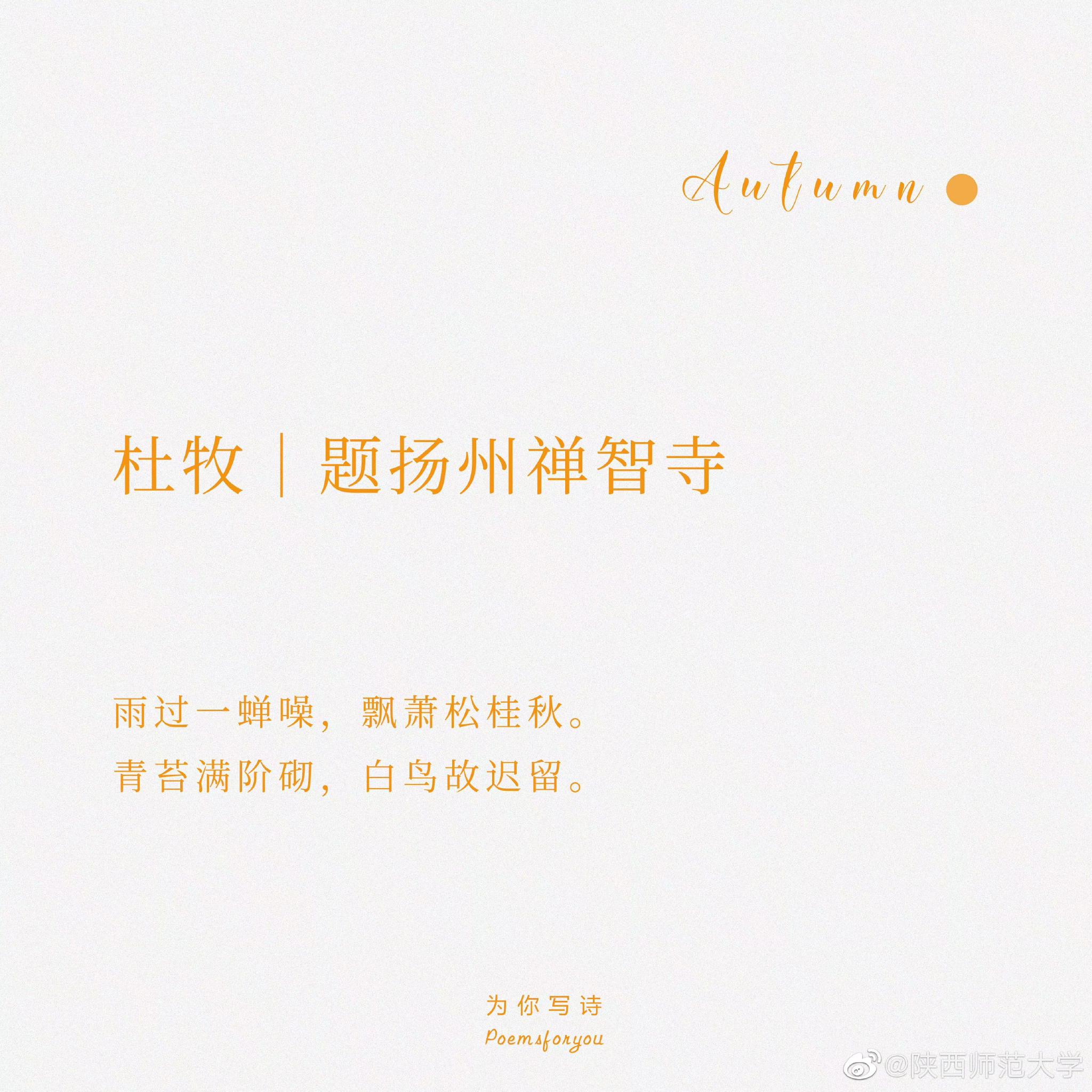 垂緌饮清露,流响出疏桐……__财经头条