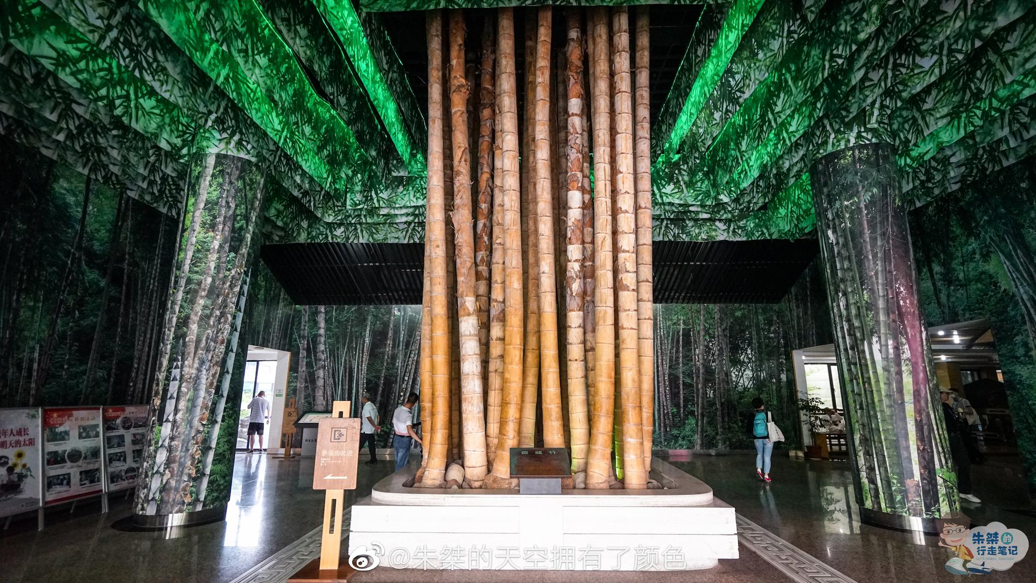 中国竹子博物馆