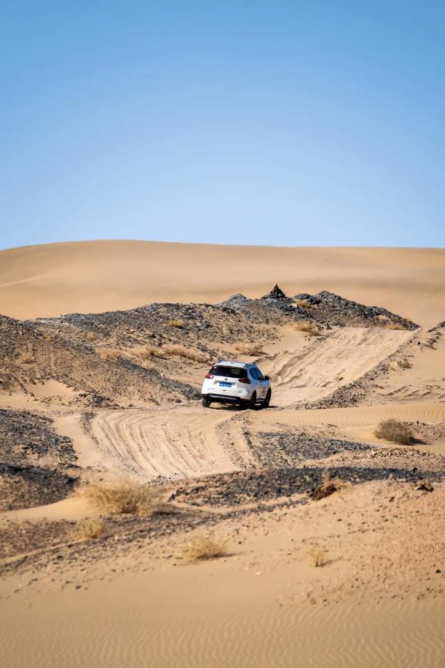 试驾2021款奇骏:城市suv最硬核的四驱还是它