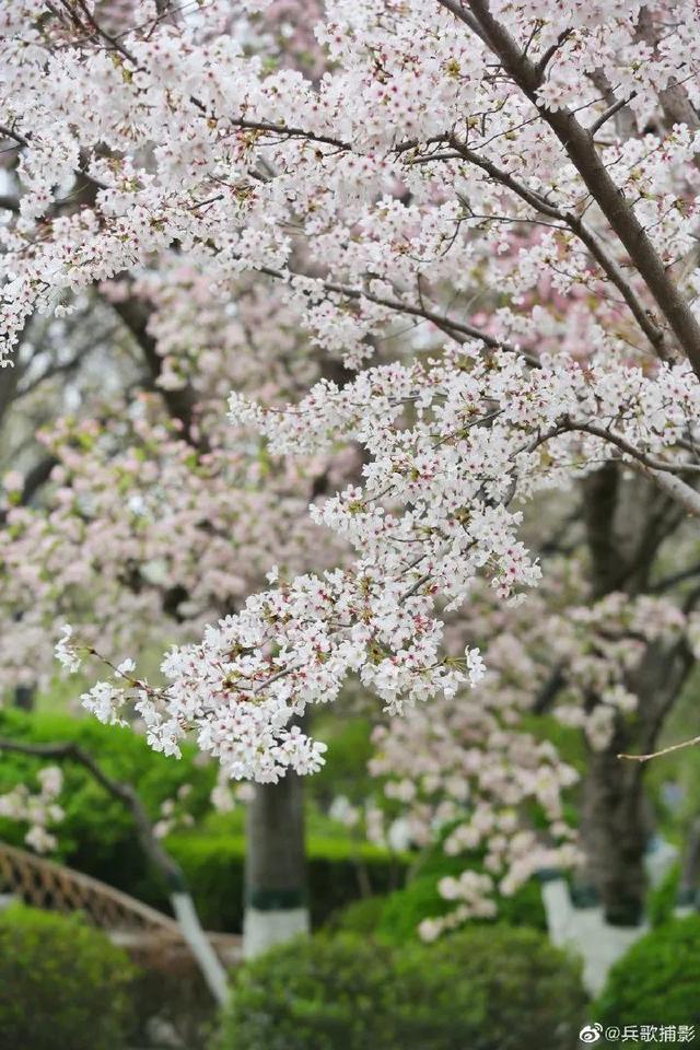 权威公布2022全年放假安排！不出济南的“全球”打卡攻略带你“一秒出国”，刷爆朋友圈！休闲区蓝鸢梦想 - Www.slyday.coM