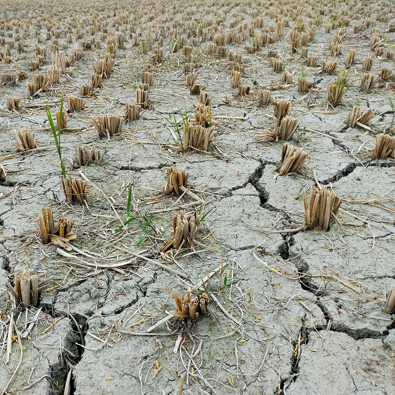 "碳中和"面具下的欧盟,扮演粮食"伪君子",再求中国-双碳时间