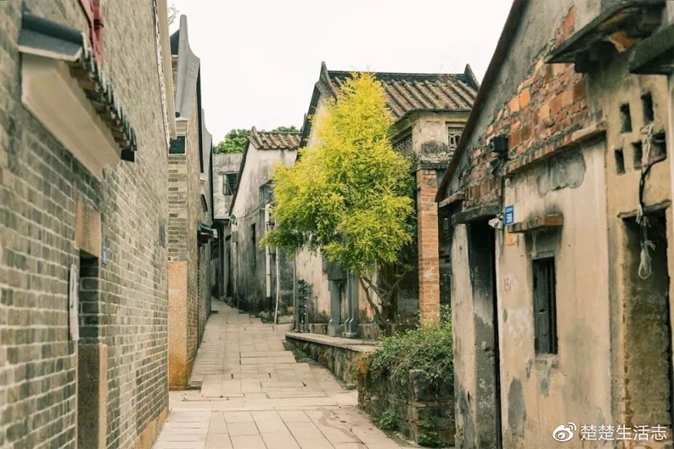 为什么我没有早点发现深圳这些古村落?!