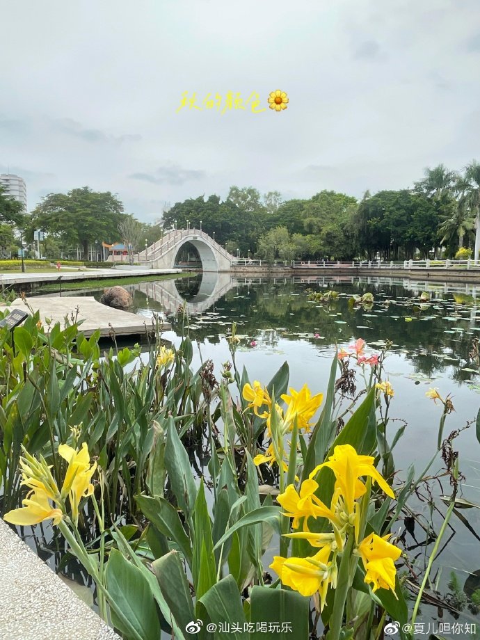 汕頭金砂公園秋風起兮秋意濃