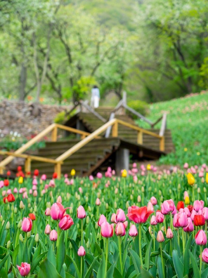 有致是什么意思 粗细有致的意思和错落有致中的致是啥
