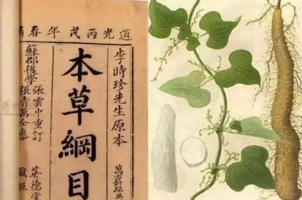 这7种养脾胃的食物：脾胃不舒服、易反酸，这样吃就对了！休闲区蓝鸢梦想 - Www.slyday.coM
