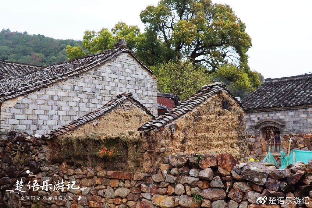 宁波海边的3A级景区古村落,鲜有人来却有秀丽风光,是休闲好去处|古树群|大埠|村子_新浪新闻