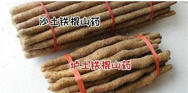 人到中年,为什么有的人容易生病,有的人却一直很健康?休闲区蓝鸢梦想 - Www.slyday.coM 人到中年,为什么有的人容易生病,有的人却一直很健康?休闲区蓝鸢梦想 - Www.slyday.coM