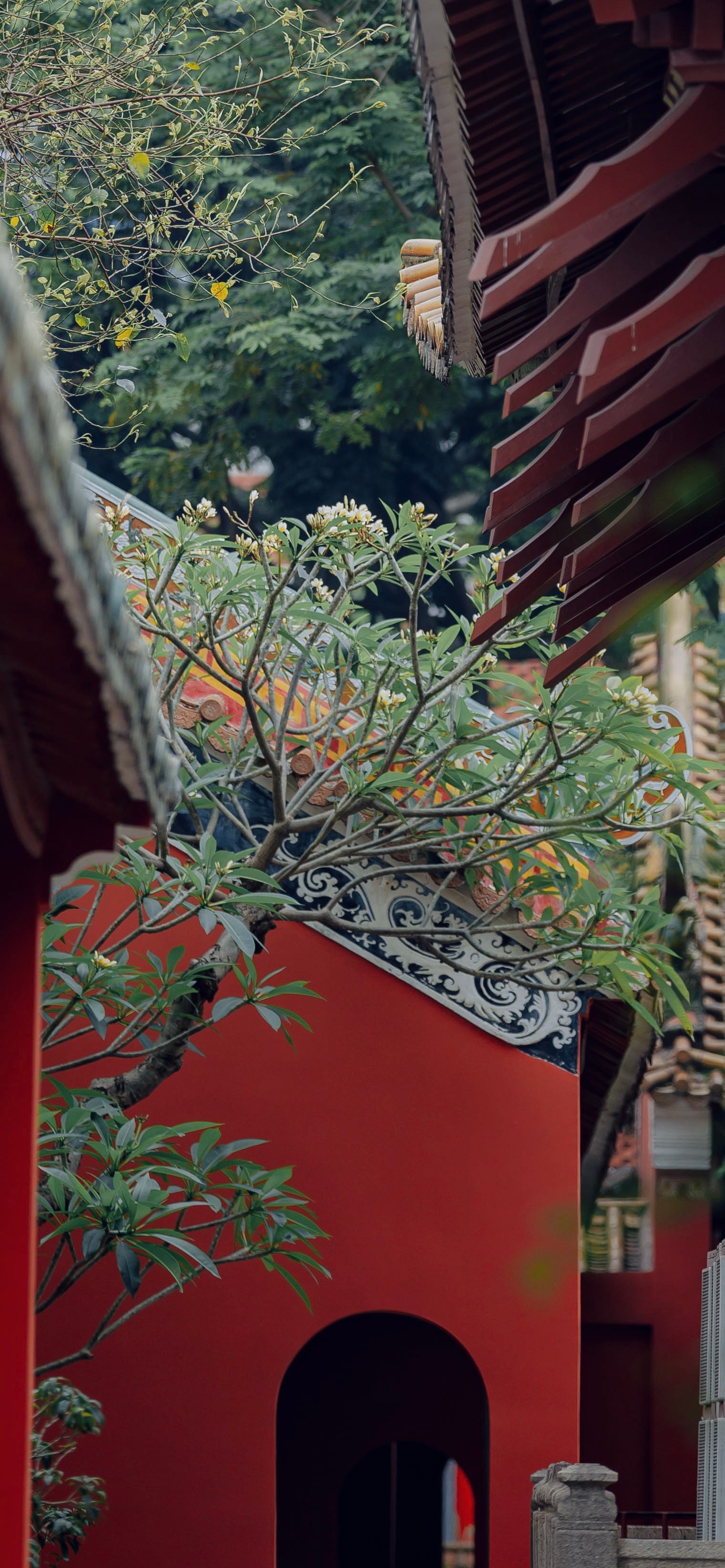 红墙绿瓦间