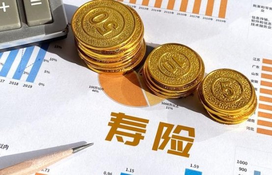 保险保额及保费