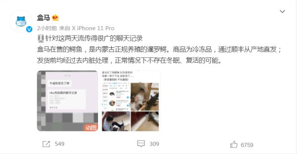 所售鳄鱼被砍后复活？盒马最新回应休闲区蓝鸢梦想 - Www.slyday.coM