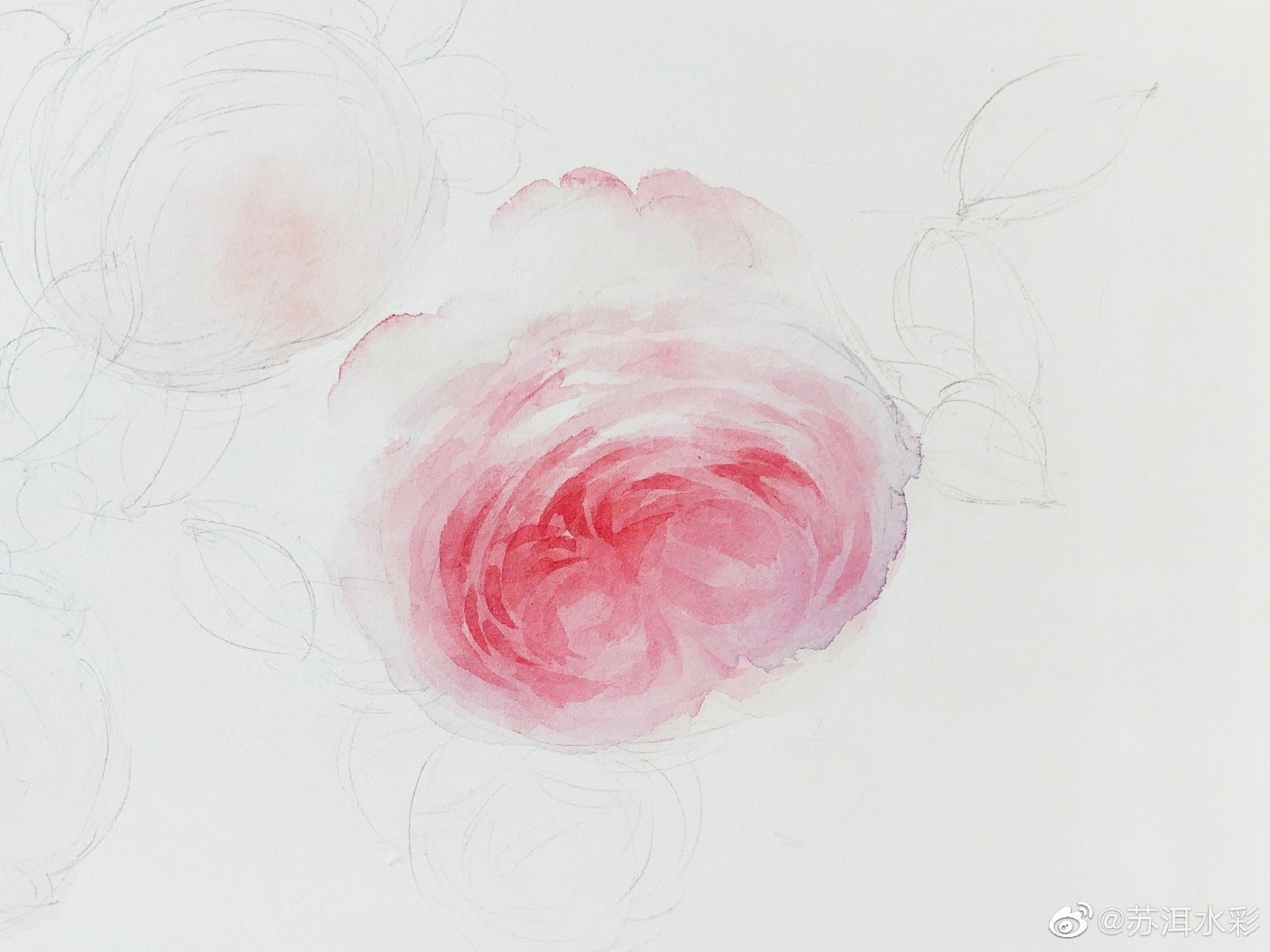 画一幅春意的水色花儿 画一幅春意的水色花儿