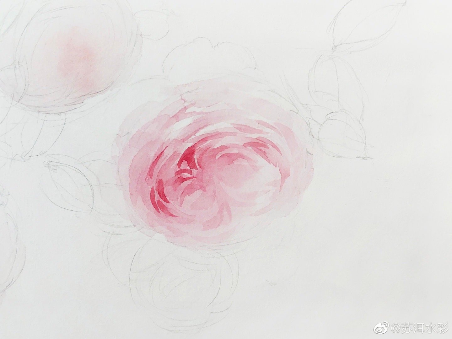 画一幅春意的水色花儿 画一幅春意的水色花儿