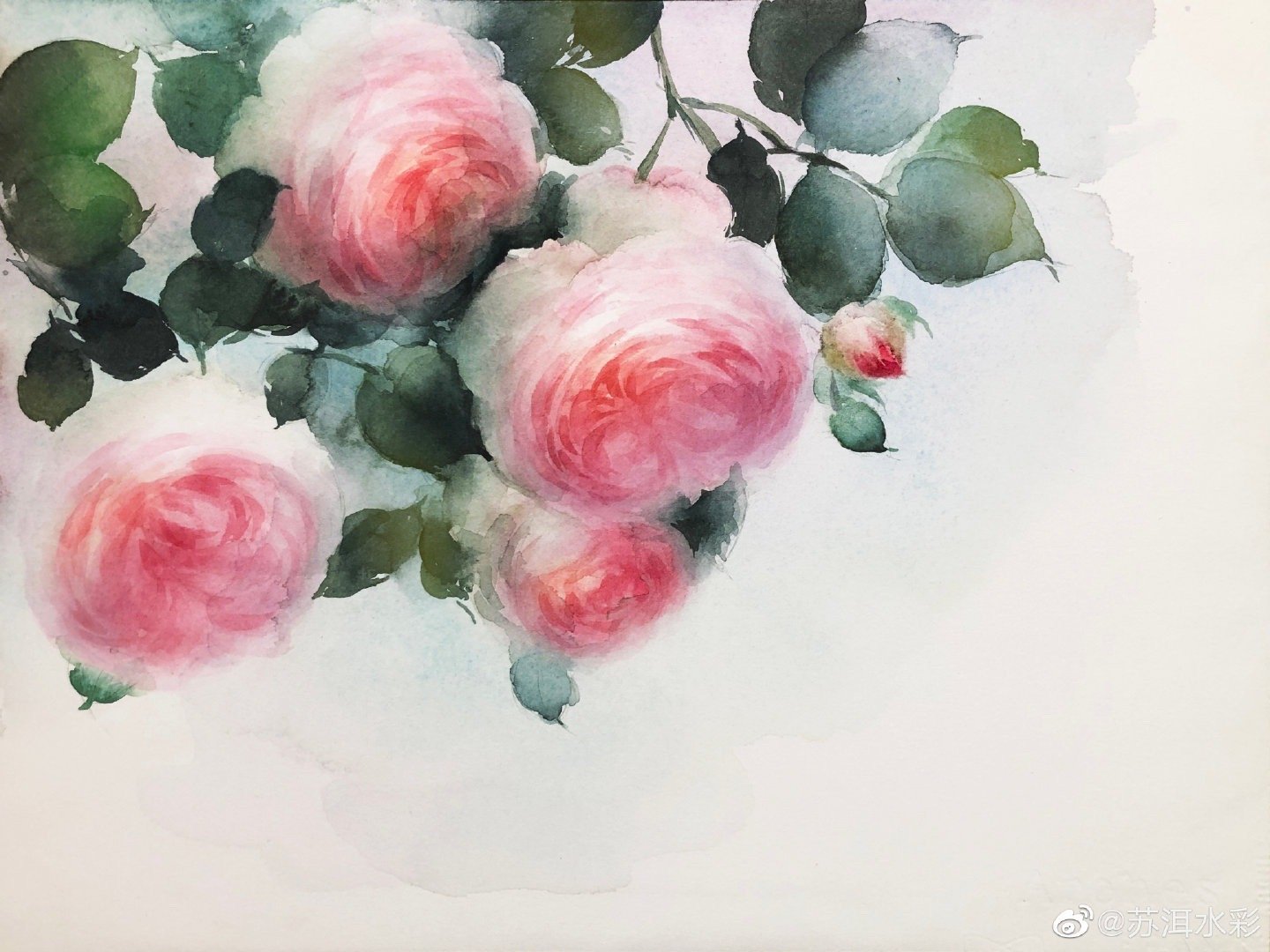 画一幅春意的水色花儿 画一幅春意的水色花儿