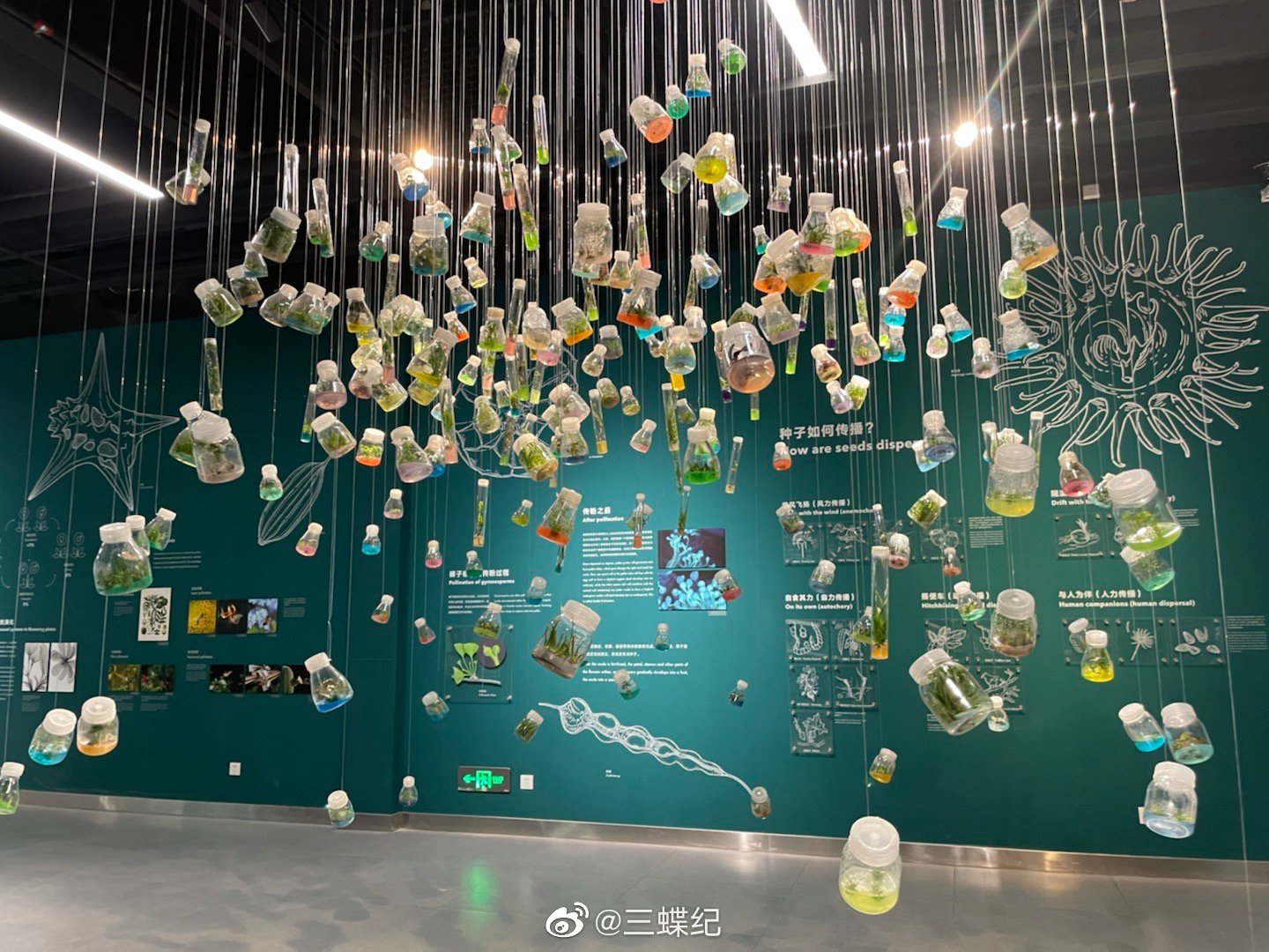 多谢元宝山老牛老师带我们参观昆植的种子博物馆