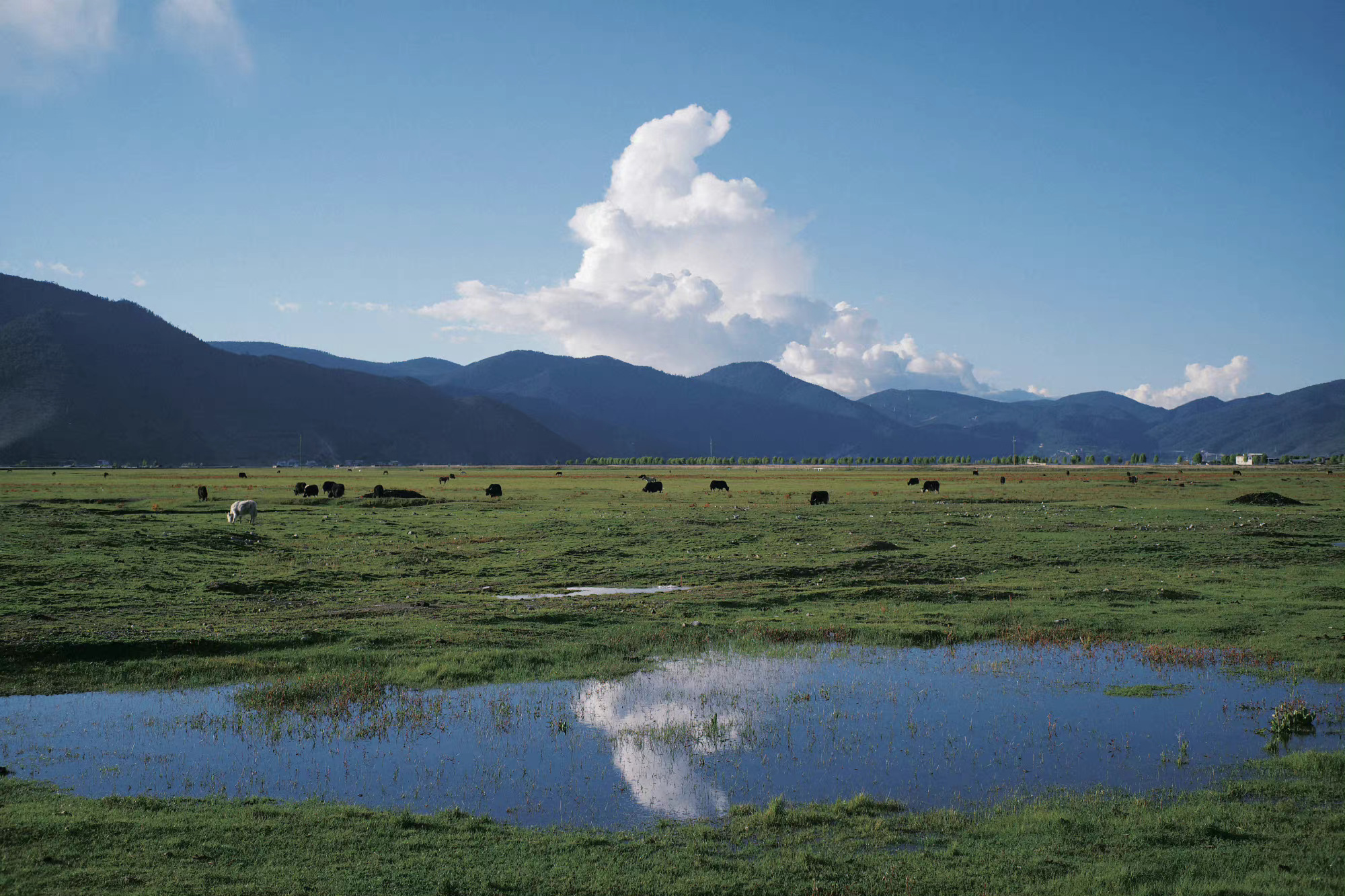 中国最强硬派越野皮卡 山海炮性能版与最偏宜皮卡车型有哪些选择