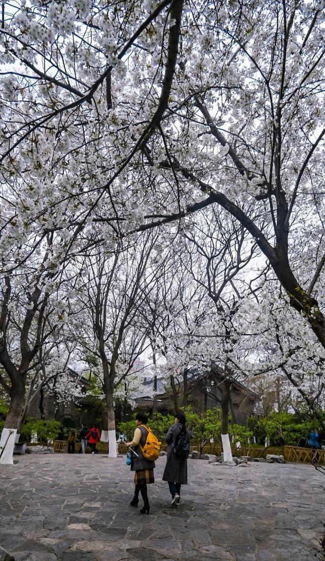 权威公布2022全年放假安排！不出济南的“全球”打卡攻略带你“一秒出国”，刷爆朋友圈！休闲区蓝鸢梦想 - Www.slyday.coM