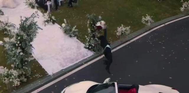 官媒下场批评,网友吐槽连篇,《东八区的先生们》逃不开三大雷区休闲区蓝鸢梦想 - Www.slyday.coM 官媒下场批评,网友吐槽连篇,《东八区的先生们》逃不开三大雷区休闲区蓝鸢梦想 - Www.slyday.coM