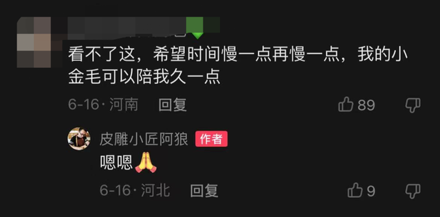 河北小伙4年来坚持做这件事,网友:被治愈了休闲区蓝鸢梦想 - Www.slyday.coM 河北小伙4年来坚持做这件事,网友:被治愈了休闲区蓝鸢梦想 - Www.slyday.coM
