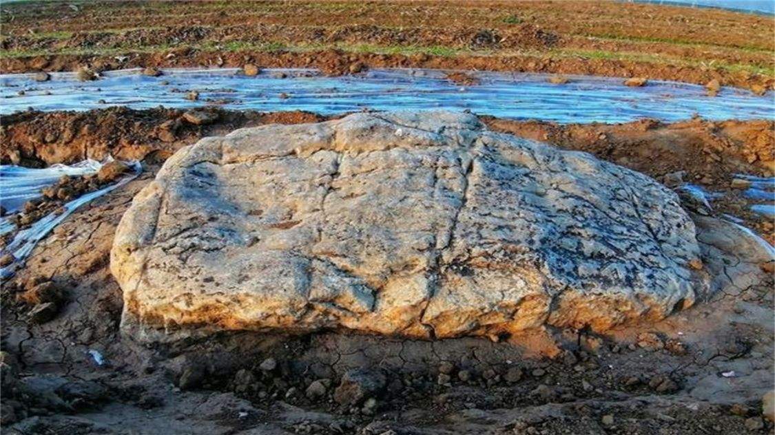 世界上最小的山60厘米高70厘米宽跟块石头一样大