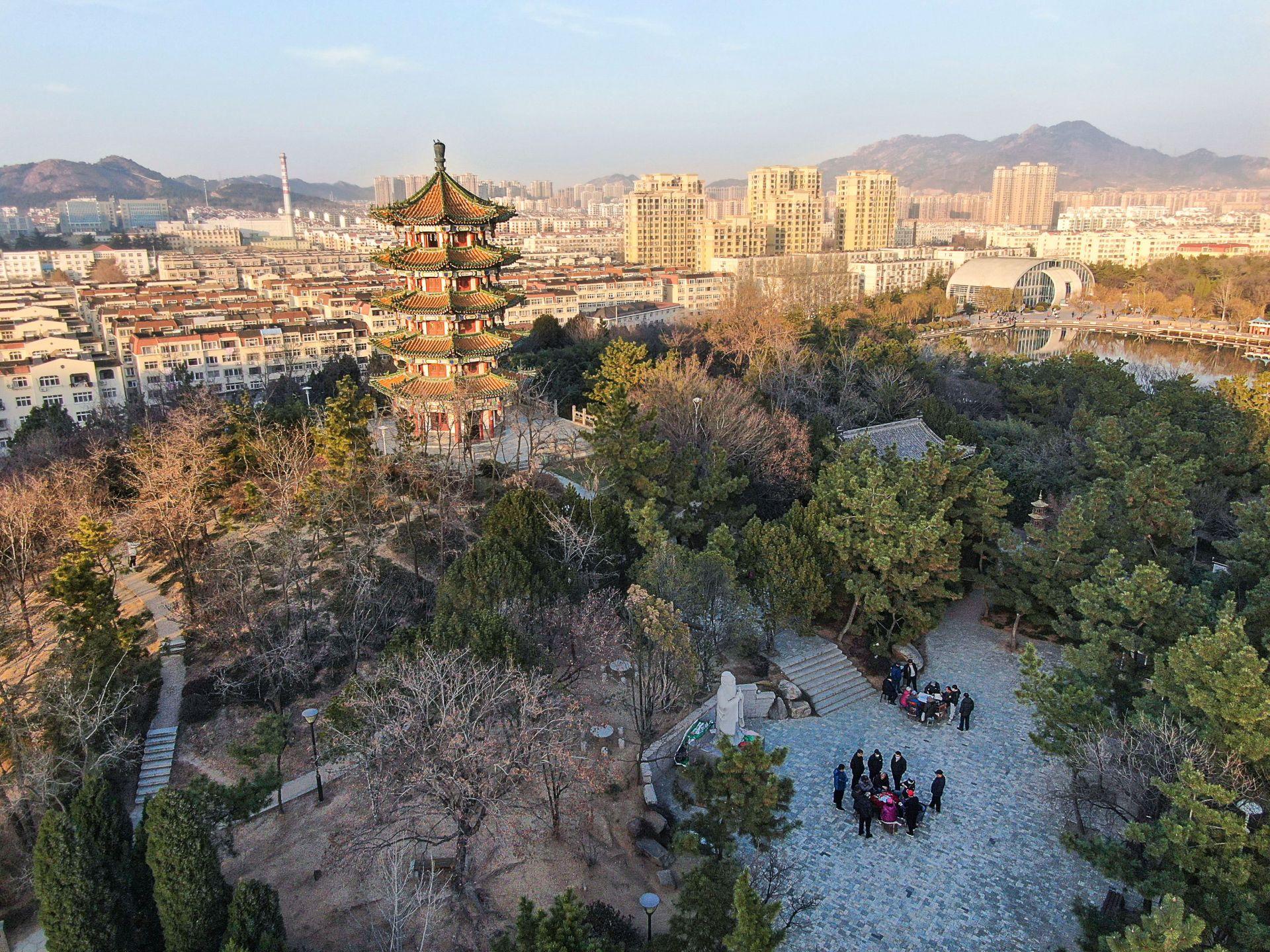 腊月暖阳下李村公园的冬日小美好