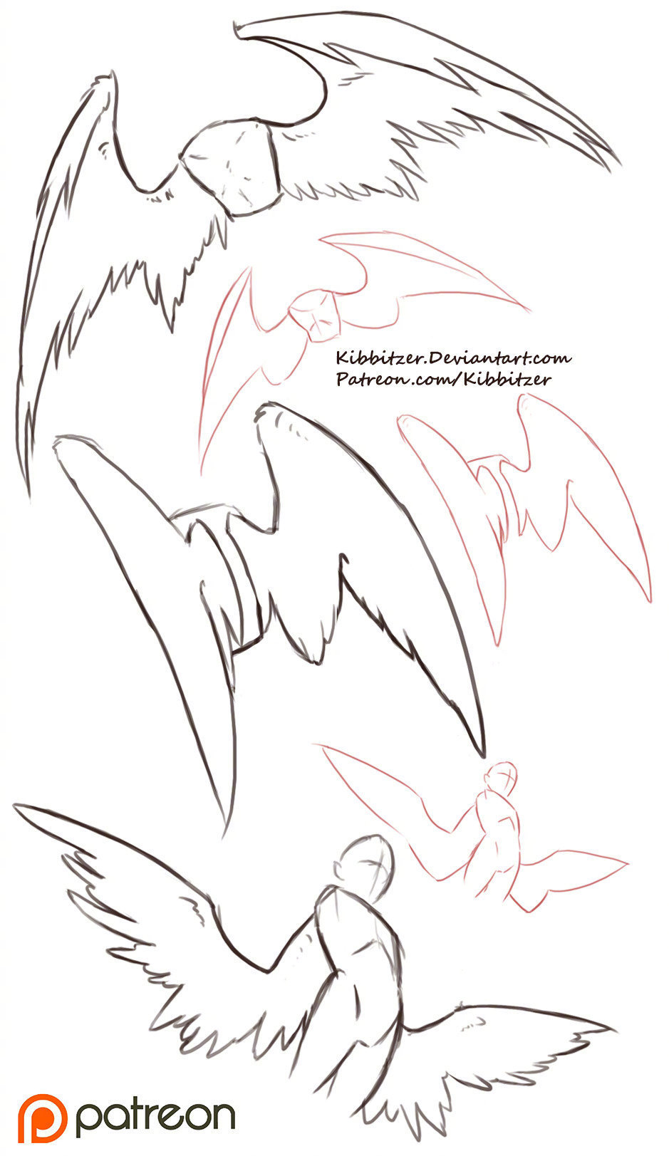 翅膀的画法参考__财经头条