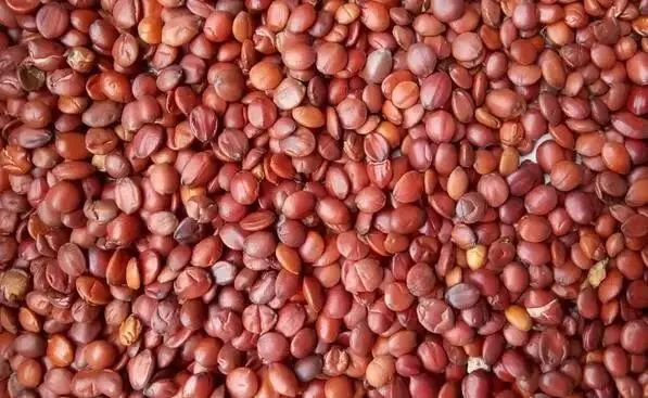 寒露时节:凉燥伤人最重的15天,这些食物再好也不要多吃休闲区蓝鸢梦想 - Www.slyday.coM 寒露时节:凉燥伤人最重的15天,这些食物再好也不要多吃休闲区蓝鸢梦想 - Www.slyday.coM