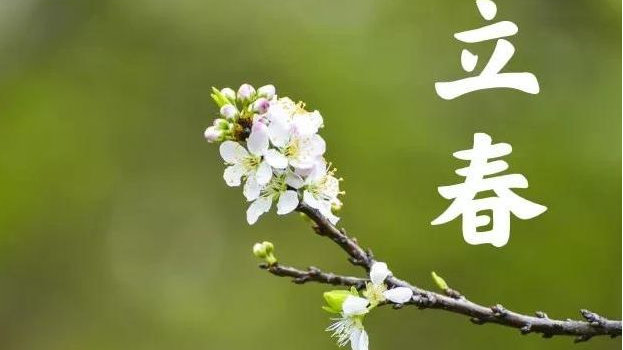 “立春到,4禁忌”,立春的讲究要牢记!这些老规矩你都知道吗?|搬家|老规矩|禁忌_新浪新闻
