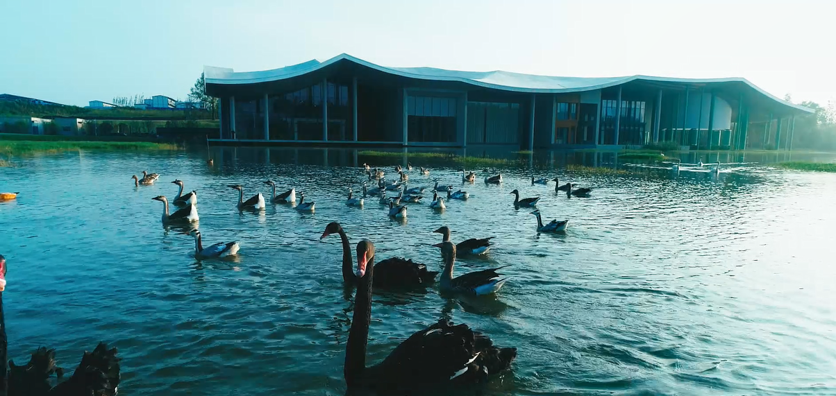 全国首座城铁直达的生命花园人文胜地仙鹤湖