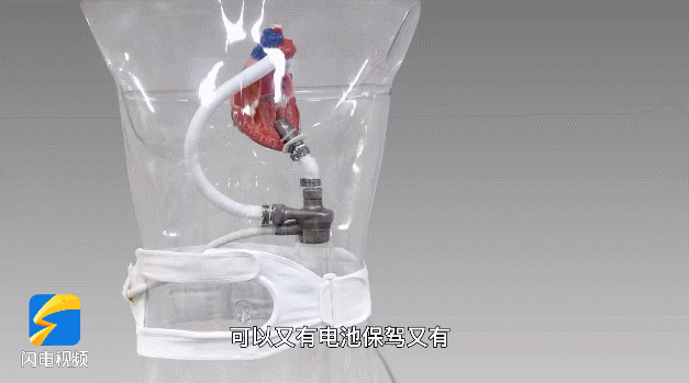 每天要充电!山东首例人工心脏植入患者出院，网友:像科幻电影休闲区蓝鸢梦想 - Www.slyday.coM