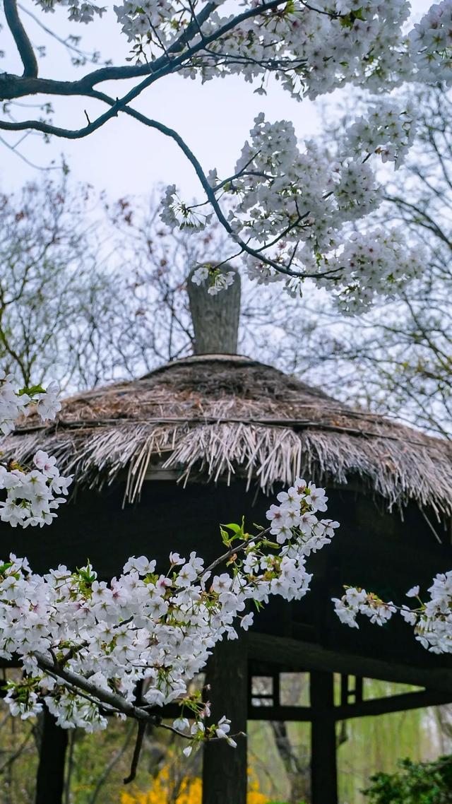 权威公布2022全年放假安排！不出济南的“全球”打卡攻略带你“一秒出国”，刷爆朋友圈！休闲区蓝鸢梦想 - Www.slyday.coM