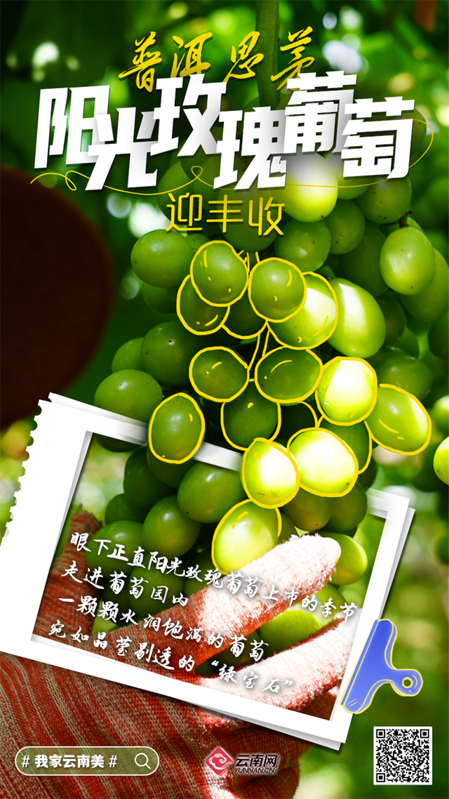 「海报」看呐!是丰收的云南休闲区蓝鸢梦想 - Www.slyday.coM 「海报」看呐!是丰收的云南休闲区蓝鸢梦想 - Www.slyday.coM