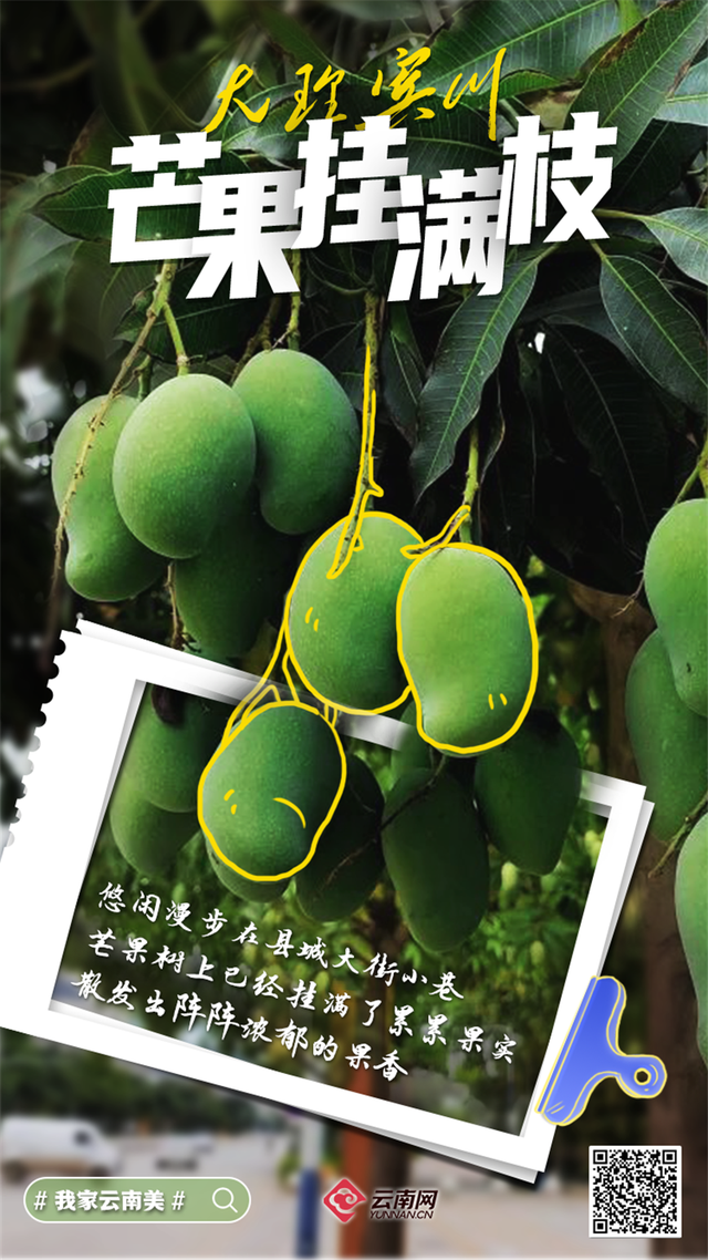 「海报」看呐!是丰收的云南休闲区蓝鸢梦想 - Www.slyday.coM 「海报」看呐!是丰收的云南休闲区蓝鸢梦想 - Www.slyday.coM