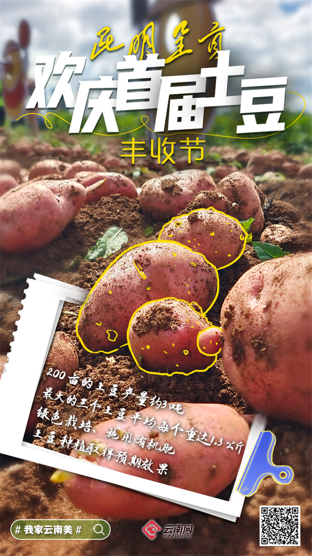 「海报」看呐!是丰收的云南休闲区蓝鸢梦想 - Www.slyday.coM 「海报」看呐!是丰收的云南休闲区蓝鸢梦想 - Www.slyday.coM