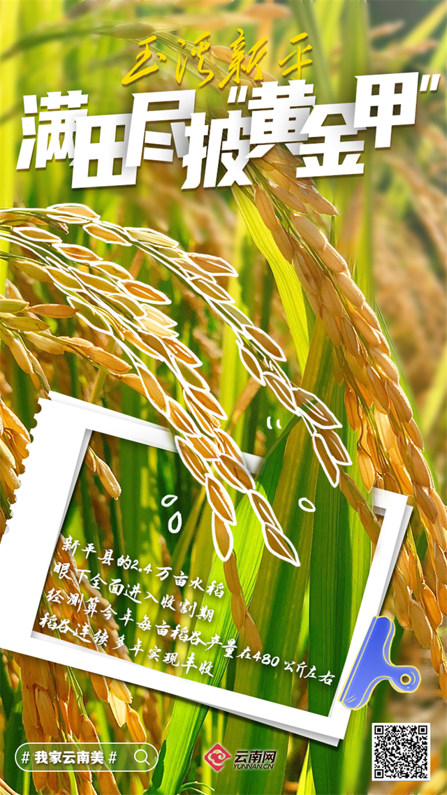 「海报」看呐!是丰收的云南休闲区蓝鸢梦想 - Www.slyday.coM 「海报」看呐!是丰收的云南休闲区蓝鸢梦想 - Www.slyday.coM