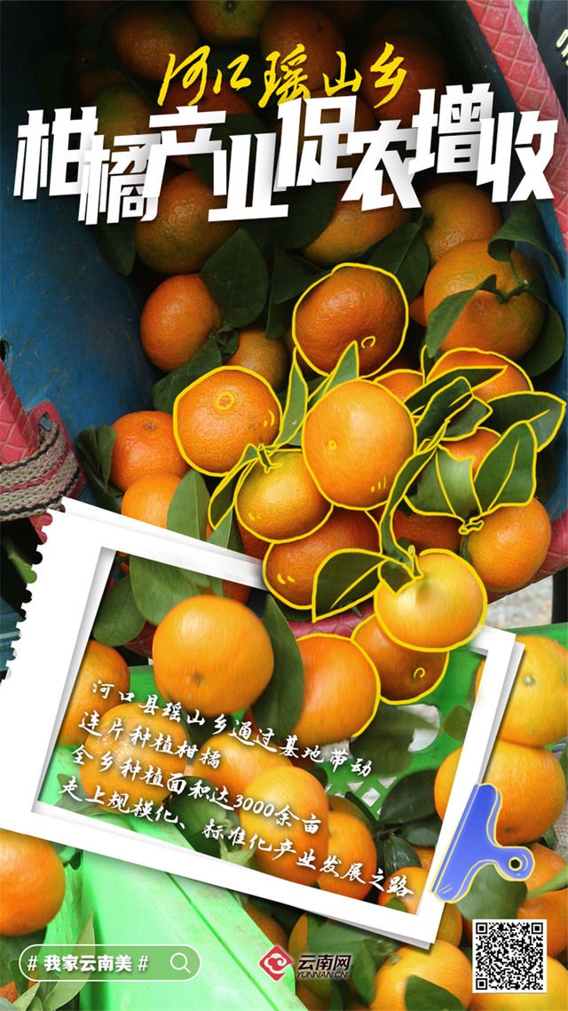 「海报」看呐!是丰收的云南休闲区蓝鸢梦想 - Www.slyday.coM 「海报」看呐!是丰收的云南休闲区蓝鸢梦想 - Www.slyday.coM