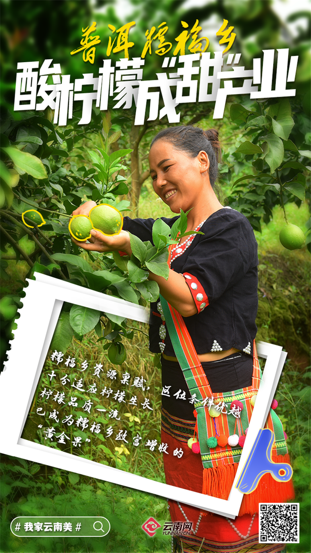 「海报」看呐!是丰收的云南休闲区蓝鸢梦想 - Www.slyday.coM 「海报」看呐!是丰收的云南休闲区蓝鸢梦想 - Www.slyday.coM