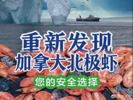 重点是突出新冠疫情期间,加拿大北极虾行业所采取的各项安全措施,以及