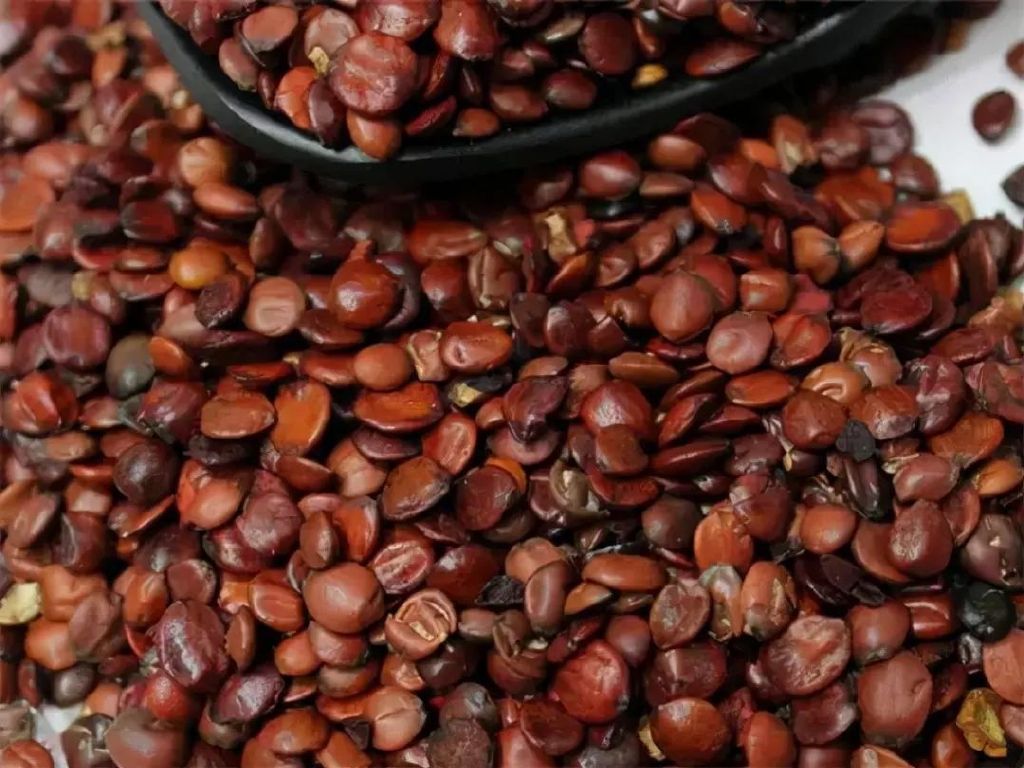 秋天养阴的4种果子，熬夜多的人一定要吃休闲区蓝鸢梦想 - Www.slyday.coM