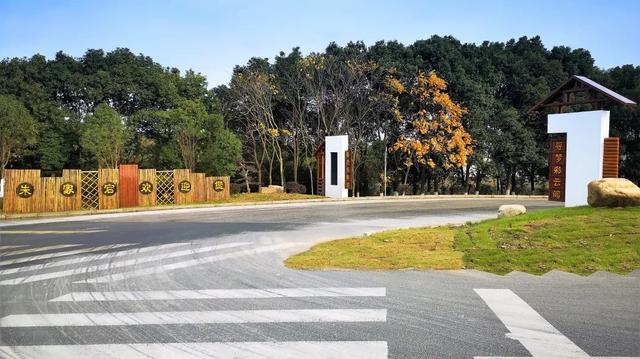 江苏张家港市朱家宕村:村民共治洁美家园|环境|朱家|村民_新浪新闻