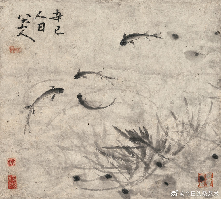 国画大师八大山人画笔下的鱼