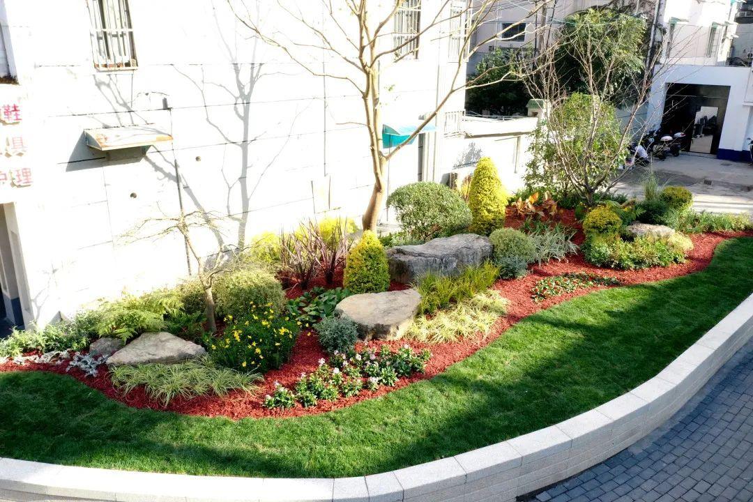 180㎡景观花坛点亮街景!居民:点赞!和以前比不一样了!