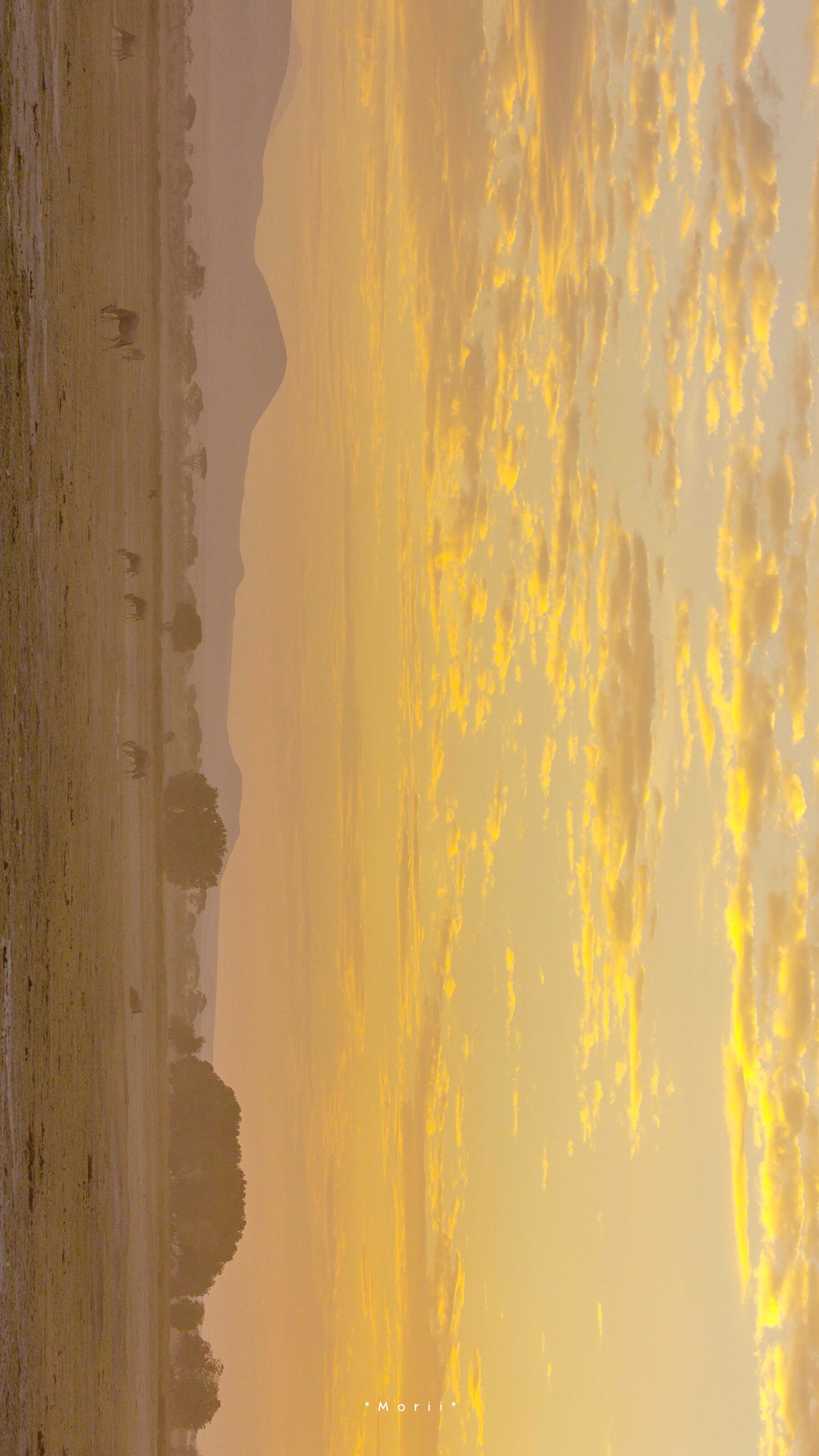 万物屏息这一刻