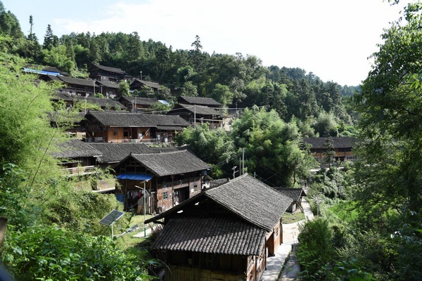 贵州民族大学博士服务团助力镇远县金堡镇乡村振兴