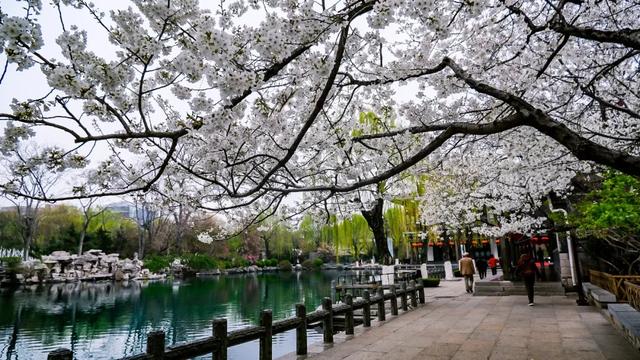 权威公布2022全年放假安排！不出济南的“全球”打卡攻略带你“一秒出国”，刷爆朋友圈！休闲区蓝鸢梦想 - Www.slyday.coM