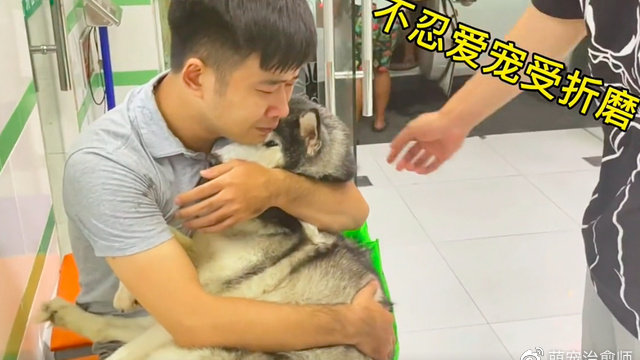 狗狗每天都被病痛折磨，主人决定给它安乐死，离别前抱着它痛哭！|狗狗|安乐死|病痛_新浪新闻