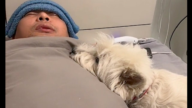 主人阳了躺在床上3天,狗狗也在床边守护了3天,它的感情是真的!