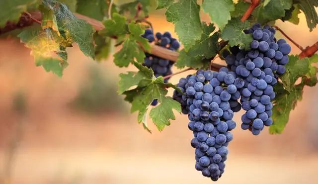 晚上11点后睡觉的人，要警惕这1件事，尤其是秋天！休闲区蓝鸢梦想 - Www.slyday.coM