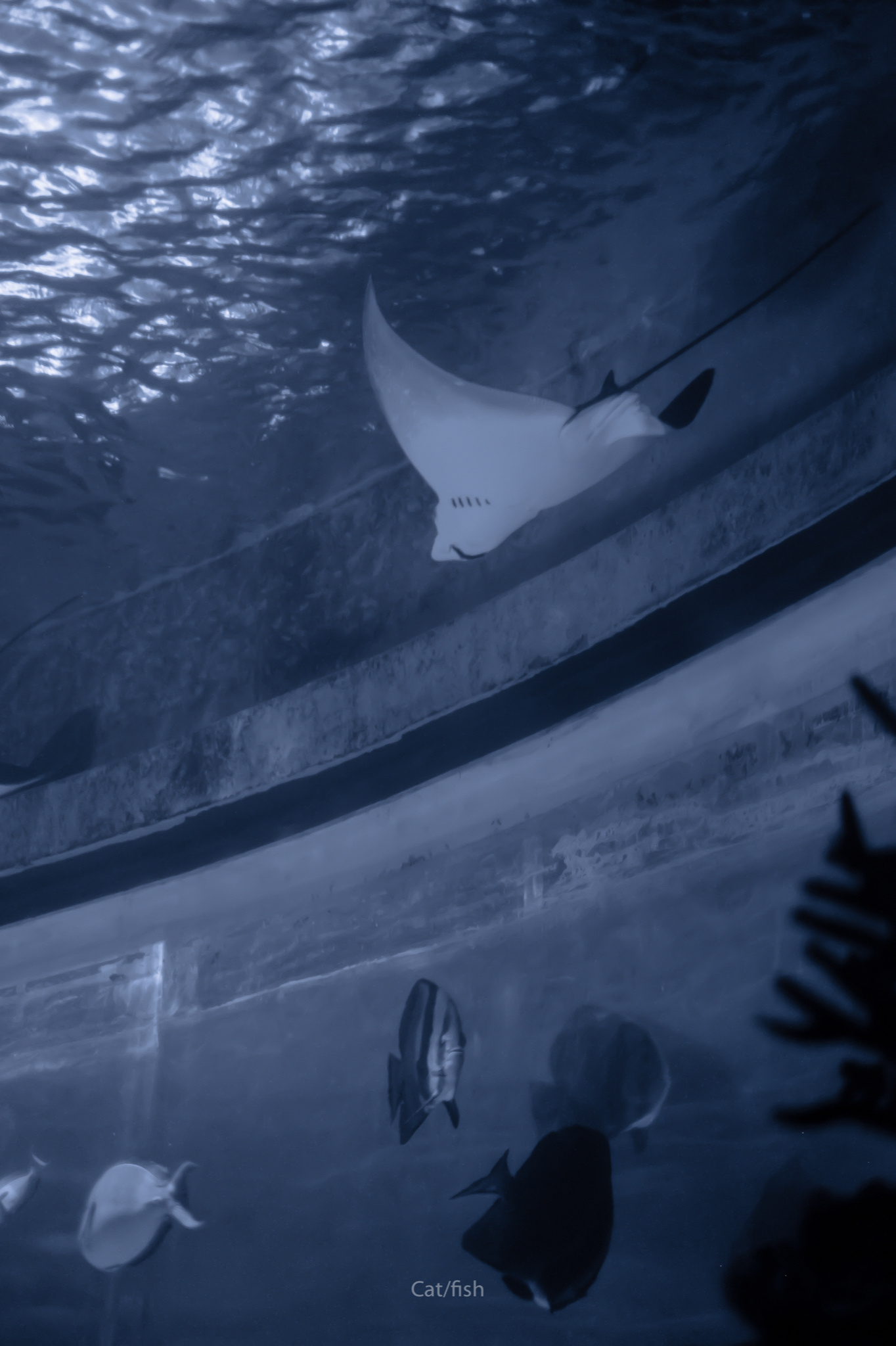 人间二月色彩被世间宠溺 被妥藏 被抱紧